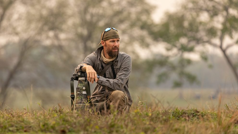 Brasil_Tamandua_©RML_16