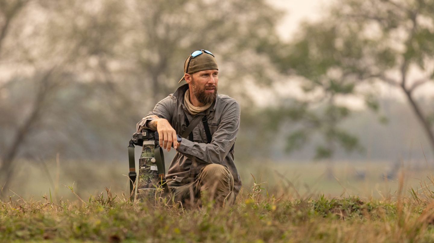 Brasil_Tamandua_©RML_16